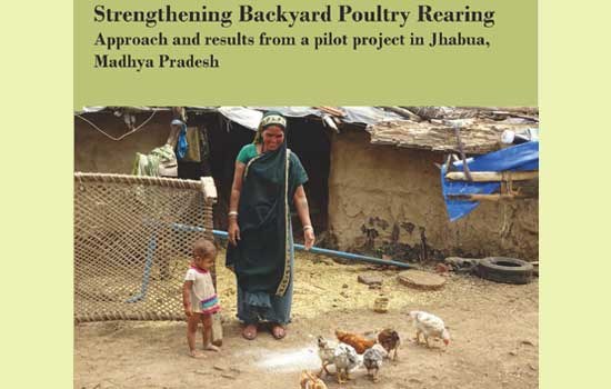 Strengthening Backyard Poultry Rearing Approach and results from a pilot project in Jhabua, Madhya Pradesh