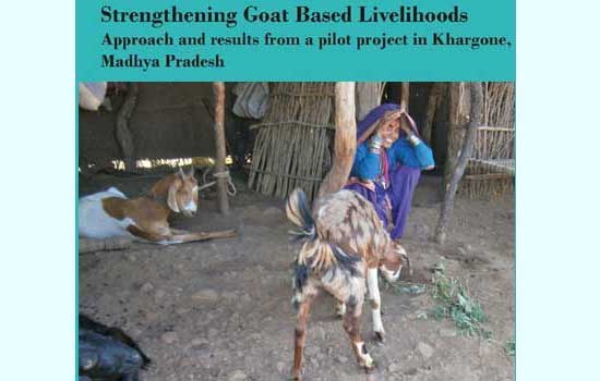 Strengthening Goat Based Livelihoods - Approach and results from a pilot project in Khargone, Madhya Pradesh
