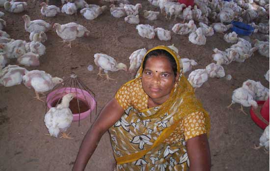 Sukritbai Chautele’s successful poultry enterprise is an inspiration to her family and neighbours